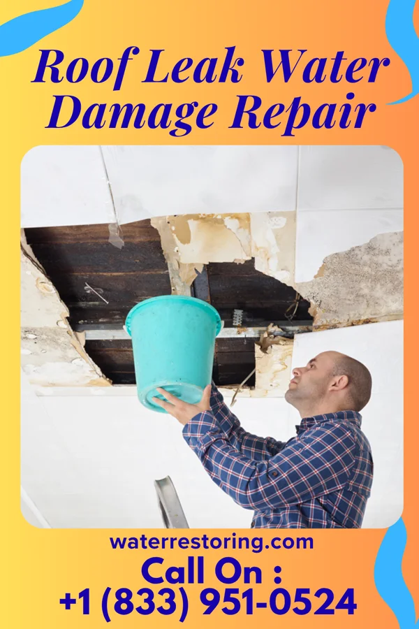 Roof Leak Water Damage Repair in Red Bank, TN