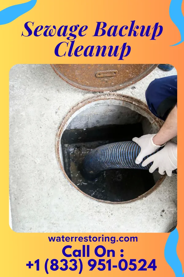 Sewage Backup Cleanup in Red Bank, TN