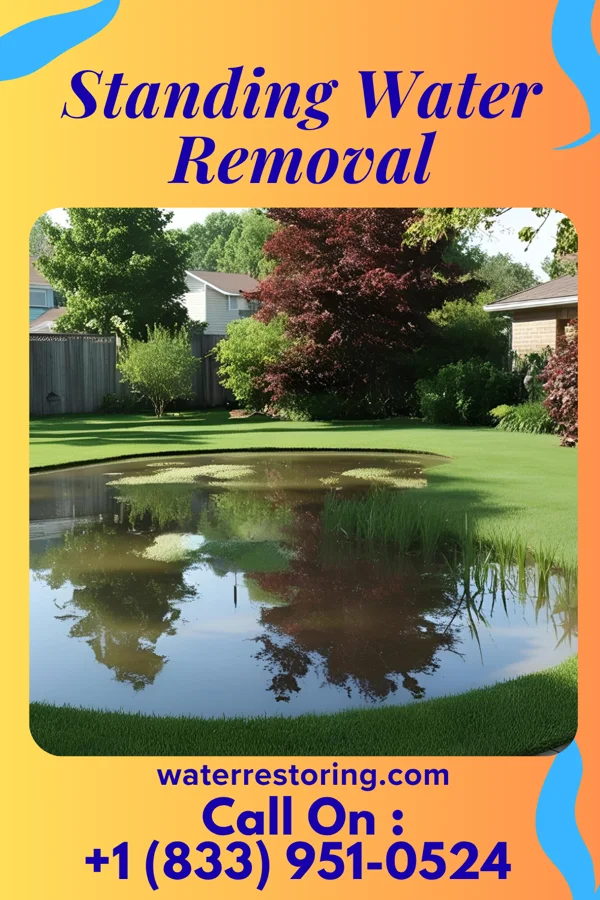 Standing Water Removal in Red Bank, TN